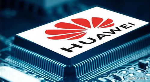 段永平 改正錯(cuò)誤要盡快，多大的代價(jià)都是最小的代價(jià)